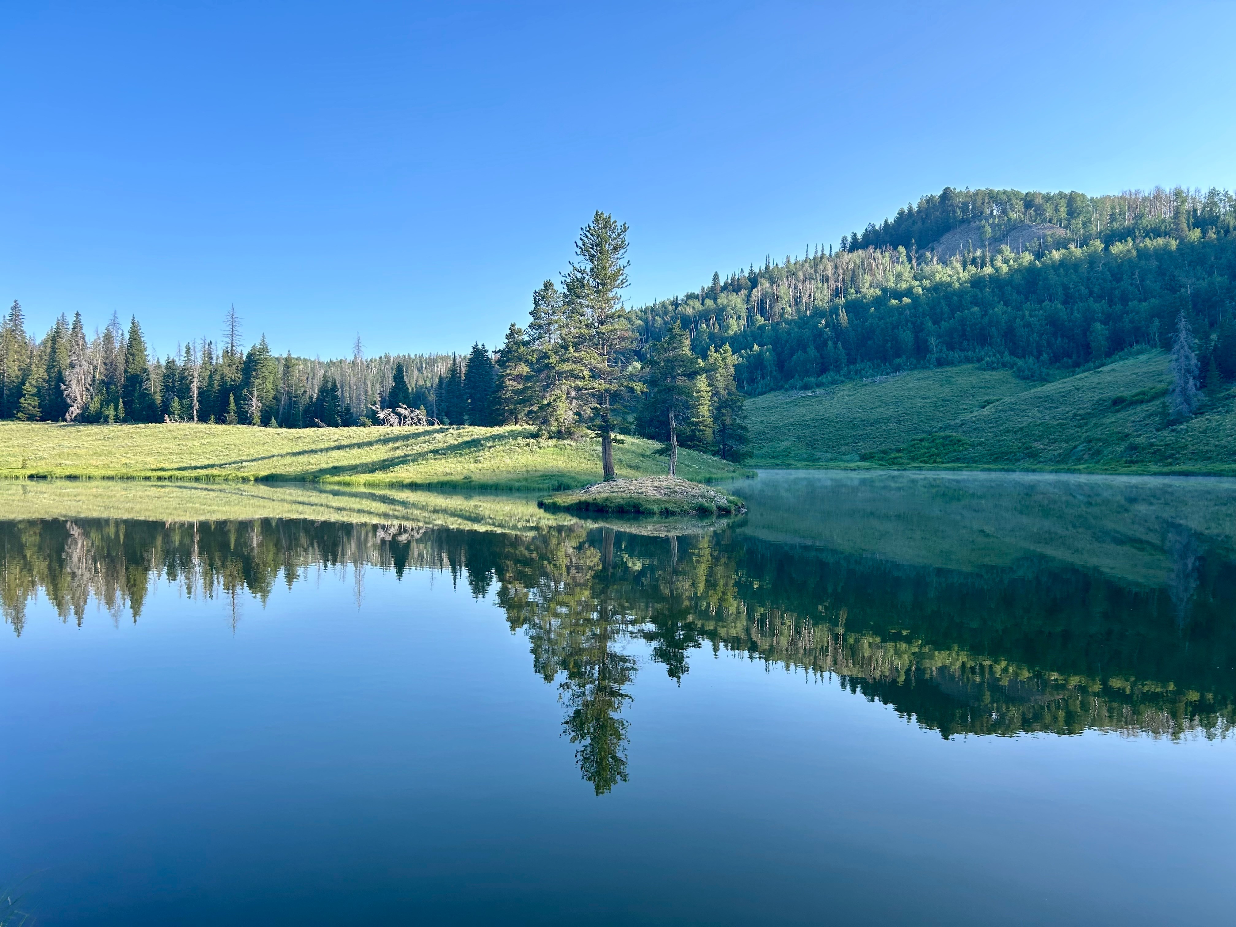 Calm lake reflecting trees and hills under a clear blue sky, with lush green grass and a small island in the water.