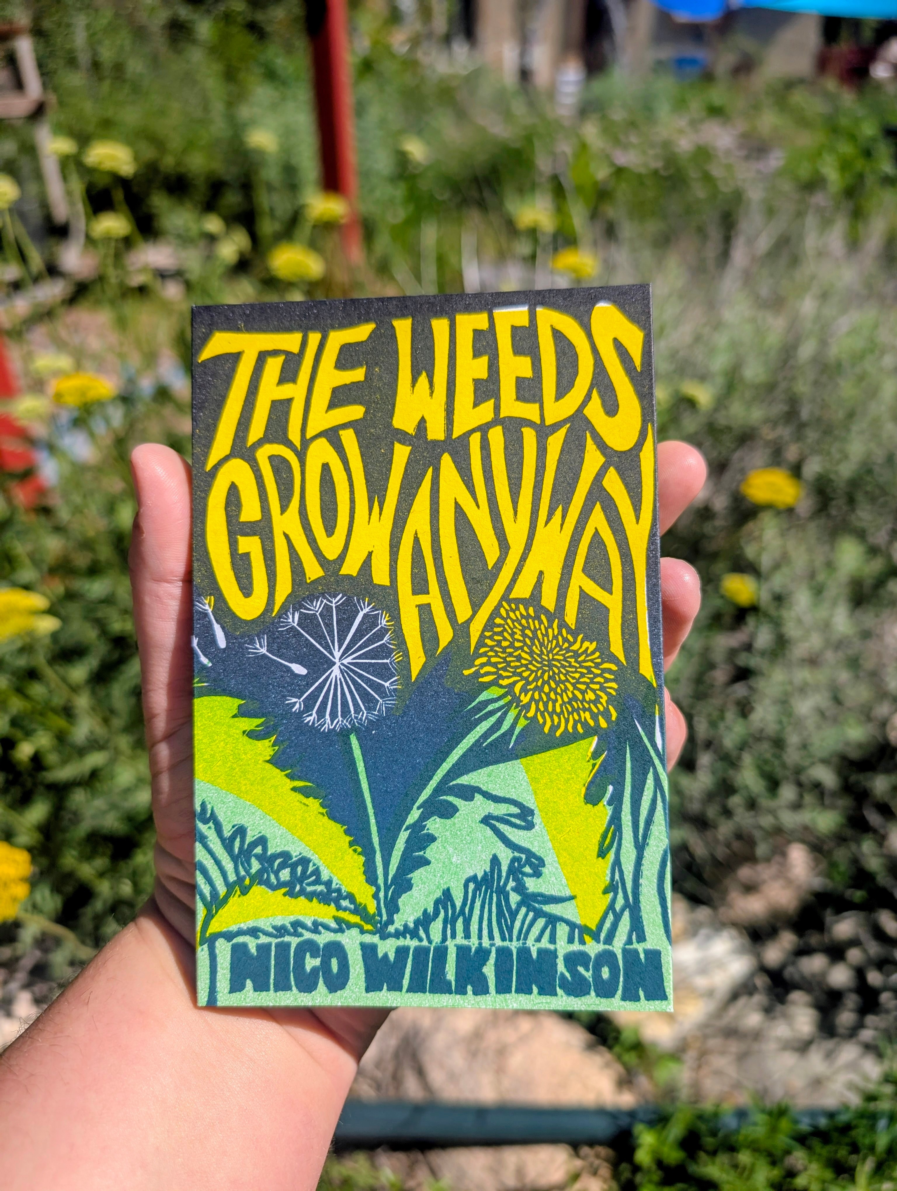 Book cover titled 'The Weeds Grow Anyway' by Nico Wilkinson, featuring illustrations of weeds and plants outdoors.