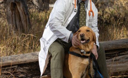 Man with glasses and a beard, wearing a white coat and stethoscope, sitting outdoors with a golden retriever dog, autumn trees in background.