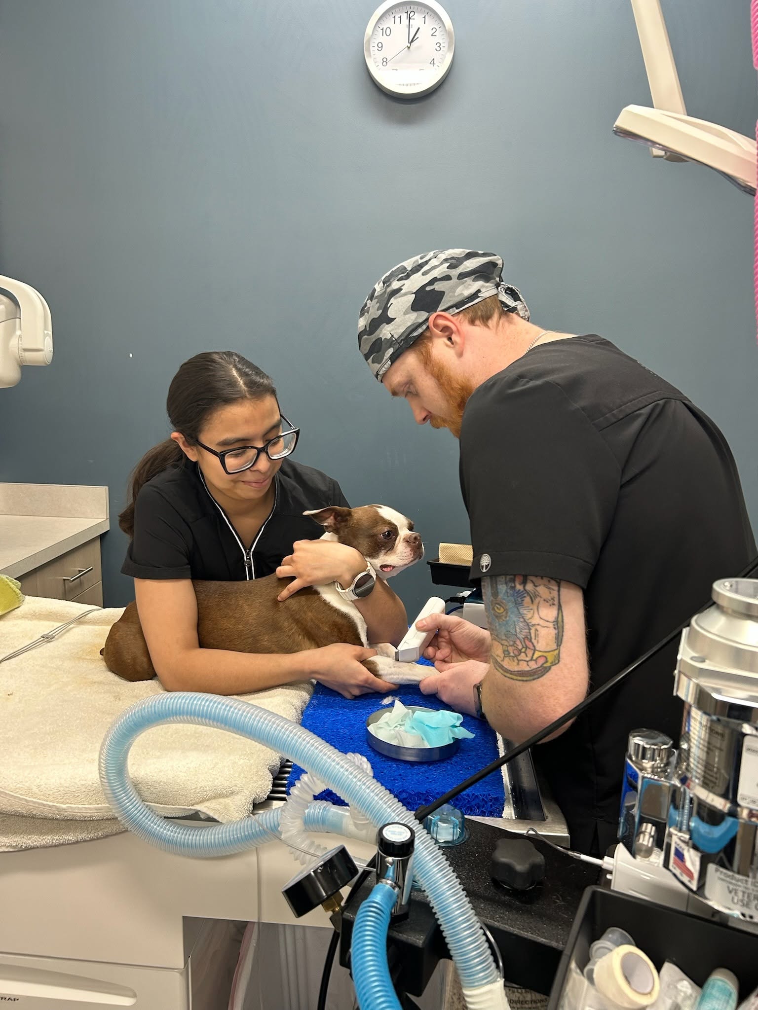Veterinarian and assistant examine a small dog on an examination table in a clinic, with medical equipment nearby.