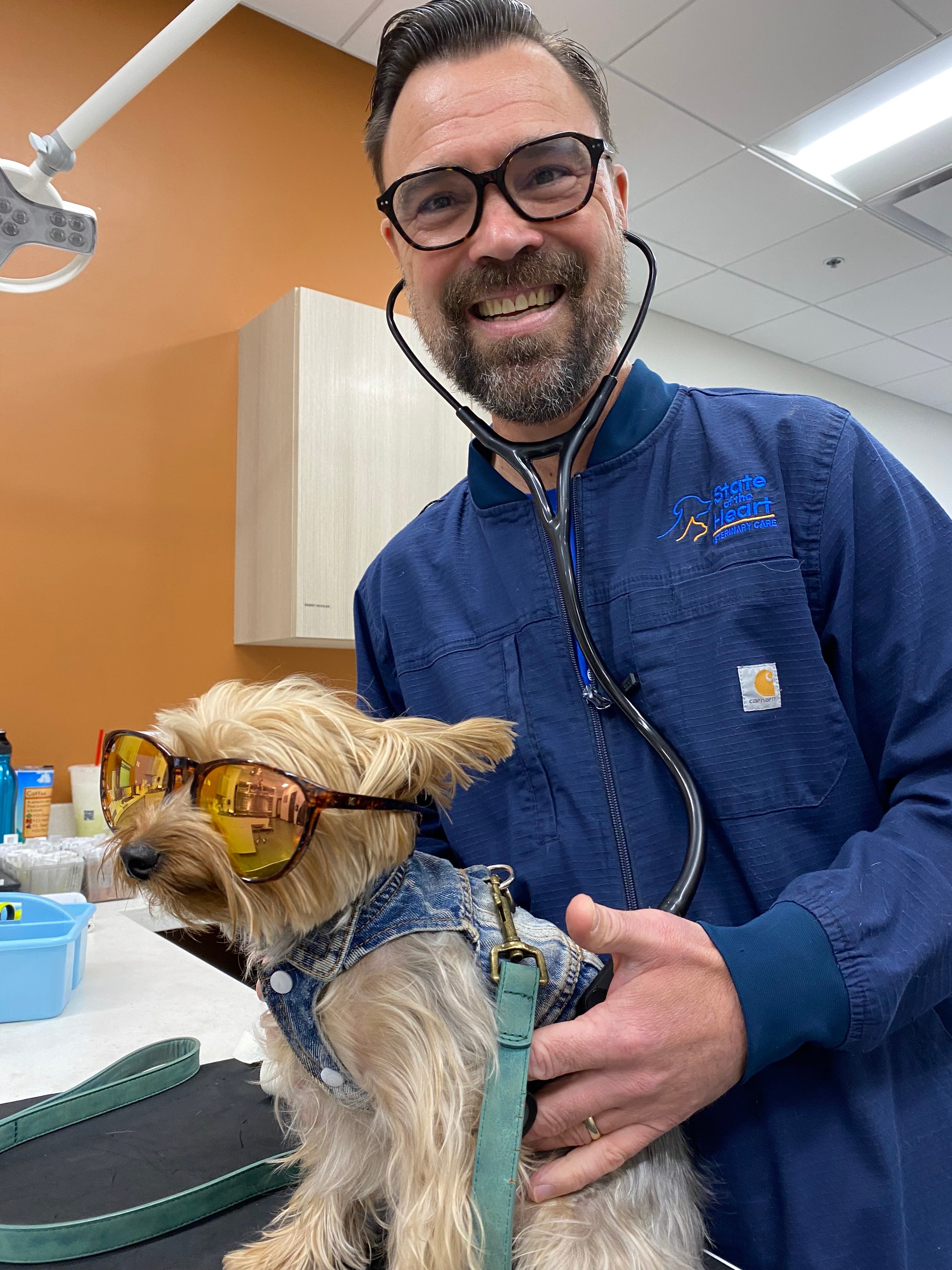 A smiling veterinarian in scrubs with a stethoscope around his neck, holding a dog wearing sunglasses in a clinic.