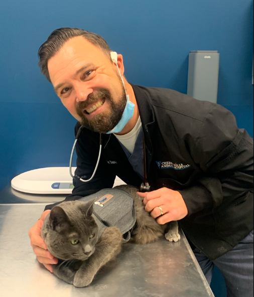 Man with beard smiling, wearing a black jacket, petting a gray cat on a metal table, blue wall background.